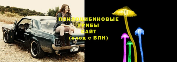 прущая мука Белокуриха