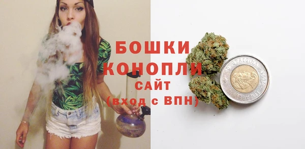 гидра Белоозёрский