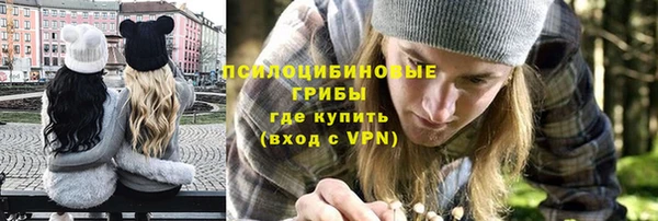 гидра Белоозёрский